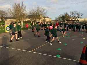 Year 6 – Wickford Primary School