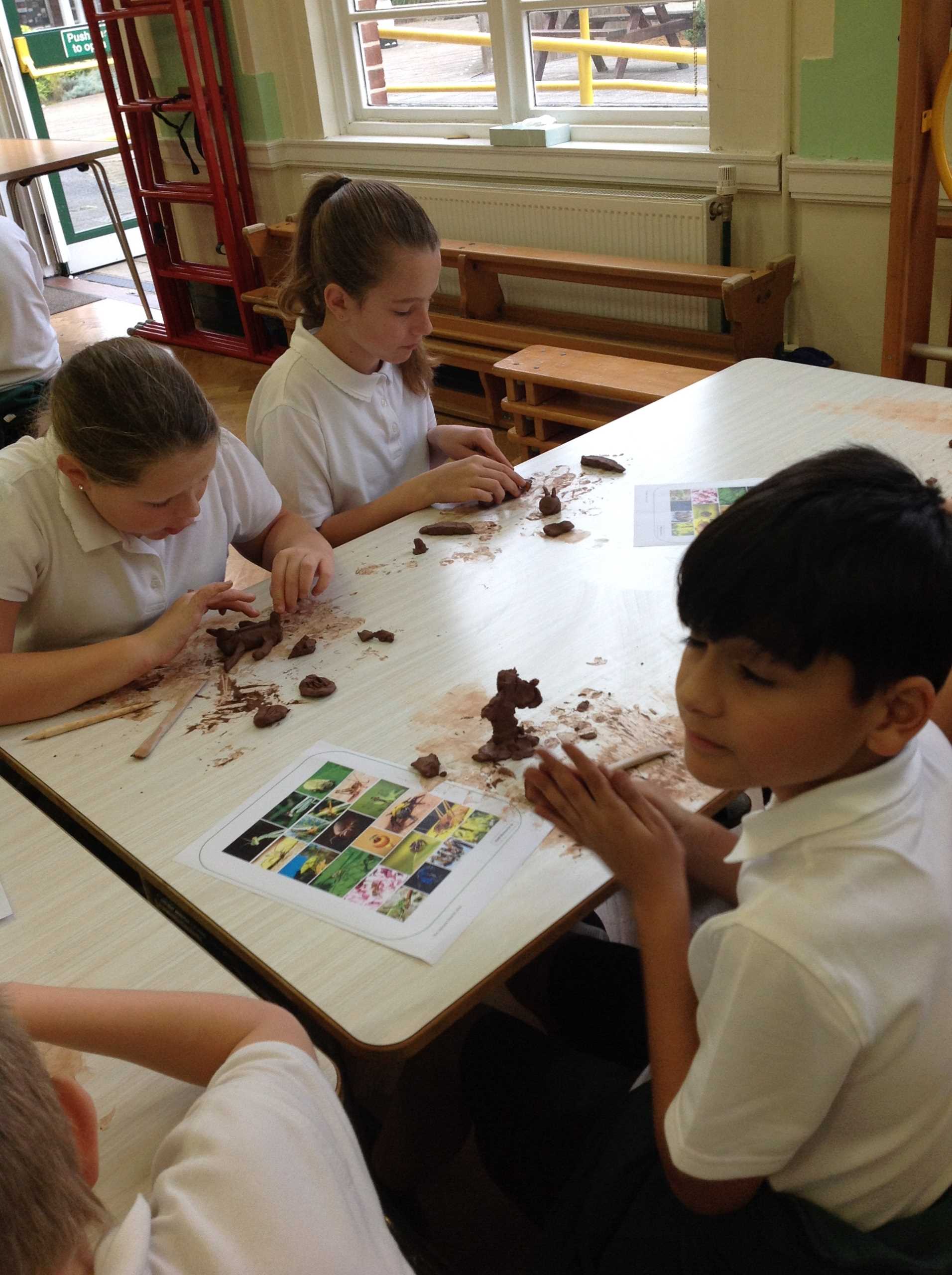 Year 6 Pandora – Wickford Primary School