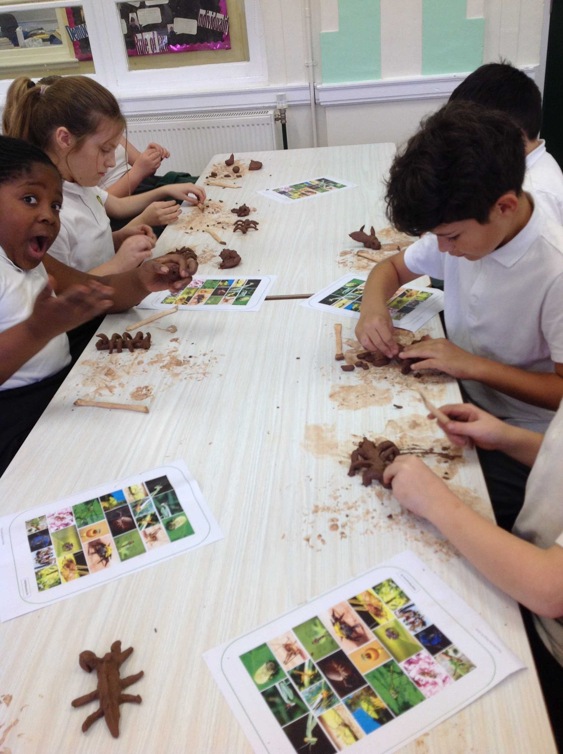 Year 6 Pandora – Wickford Primary School